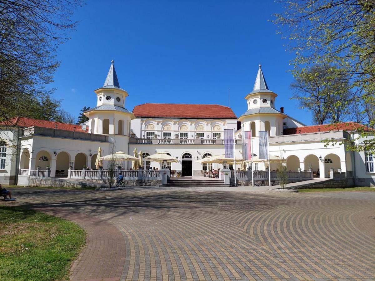 Aleks Sobe Hotel Banja Koviljaca Exterior photo