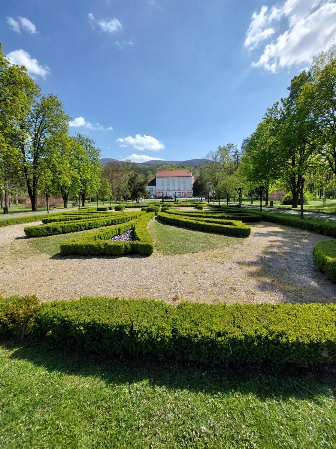 Aleks Sobe Hotel Banja Koviljaca Exterior photo